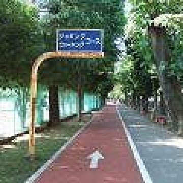 青木町公園総合運動場紹介画像