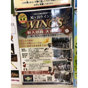 鳩ヶ谷ウイングス