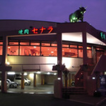 セナラ川口店