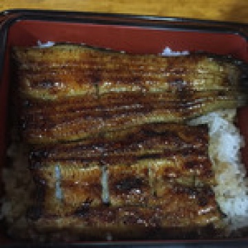 料理