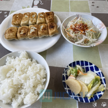 餃子定食