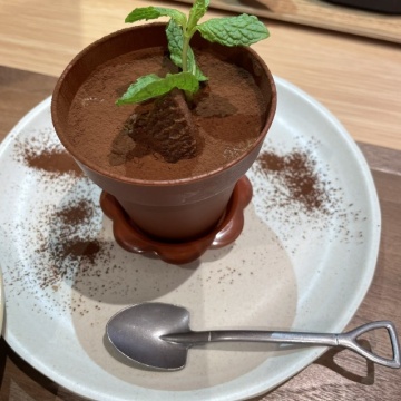 鉢植えティラミス